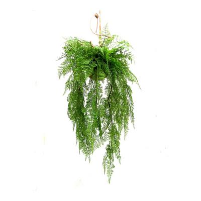 This Maiden Heaven Hanging Ball is the perfect addition to any home or office space. The real touch maiden hair fern adds a touch of beauty and elegance. With a cord length of 40cml and a total length of 112cml, this 72cml ball is sure to make a statement- UNIQUE INTERIORS