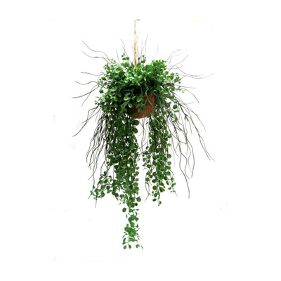Introducing the Green Goddess Ball, a stunning botanical masterpiece! Bursting with exuberant growth, this plant features a total length of 114cm, with a 44cm cord and 40cm width at its widest part. Its mass of leaves, shoots, and aerial roots will bring beauty and life to any space- UNIQUE INTERIORS