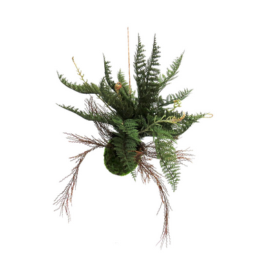 Enhance your indoor garden with the Fern Ball Majesty. This unique fern grows in a dense mossy ball with visible roots, showcasing its multiple branches and various stages of development. The full lichen-like plant comes with a jute hanger for easy display. Elevate your space with this beautiful, scientific wonder- UNIQUE INTERIORS
