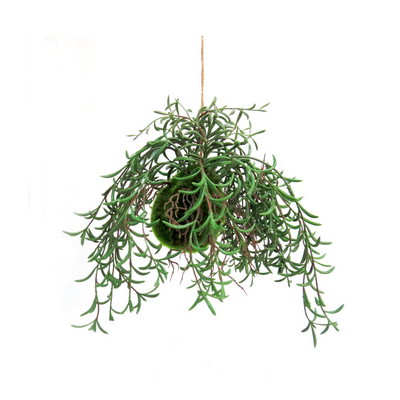 The Nuclea Growth Ball is a beautiful botanical specimen, with a dense mossy "pineapple" shaped base that sprouts a mass of growth. It features multiple roots and tendrils, making it a nucleus of growth. Comes with a jute hanger for easy display. Enhance your space with this unique and natural addition- unique interiors