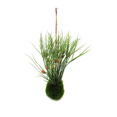 Expertly crafted with a composition of reeds and stems, our Kraanzkloof Reed Ball is set into a "growing" mossy ball base. This unique design can also be hung without the jute hanger, measuring at 24cm. Bring a touch of nature into your space with this versatile and beautifully designed piece- unique interiors