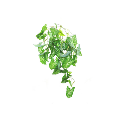 Introducing the Arrowhead Hanging, a stunningly realistic full plant with masses of well-formed leaves for a cascading effect. Comes with 84CML and 9 stems with off shoots, totaling 82 leaves. A perfect addition to any space for a natural and elegant touch- UNIQUE INTERIORS