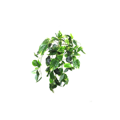 Enhance any space with the stunning Ceylon Hanging Vine. With 12 stems, off shoots, and 143 lush leaves, it creates a full and vibrant look. Its realistic appearance adds a touch of nature indoors. Perfect for hanging and cascading from a pot. Measures 87CML- UNIQUE INTERIORS