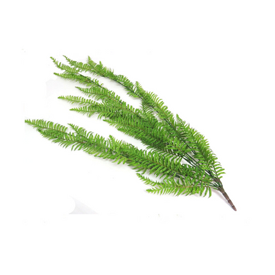 Introduce peaceful greenery into your space with the Fern Cedarberg. This lifelike 105CML artificial plant brings the beauty of nature indoors without the hassle of maintenance. Create a serene atmosphere with this realistic and durable addition to your home or office- unique interiors