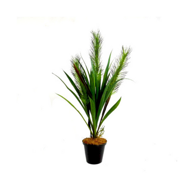 Expertly crafted with 26 blades of spider grass and 3 foxtail heads, the Speargrass Potted plant stands at 53cm in height and measures 28cm in width. Its pot, measuring 10cm in diameter and 8cm in height, adds a touch of elegance to any space. Perfect for adding a touch of nature to your home or office- UNIQUE INTERIORS