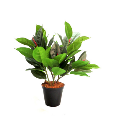 Introducing the Ficus Lyrata, a lifelike replica of its natural counterpart with 35 detailed leaves and a total height of 60cm including the pot. Enjoy the beauty of this artificial plant without the hassle of maintenance. Perfect for adding a touch of greenery to any space-UNIQUE INTERIORS