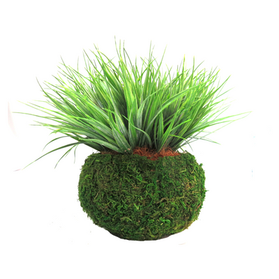 The Green Caboodle is an expertly crafted artificial plant, 30cm wide and standing at a total height of 24cm with the pot. It adds a touch of greenery to any space, without the hassle of maintenance. Perfect for those seeking a low-maintenance yet aesthetically pleasing interior decor option- UNIQUE INTERIORS