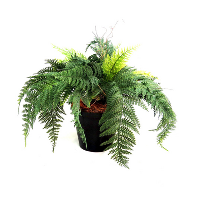 Introduce some greenery to your home with our Forest Fern Pot. Standing at 49cm high and measuring 52cm in width, this modern planter is the perfect size for any room. Beautify your living space and improve indoor air quality with this stylish and functional addition-UNIQUE INTERIORS