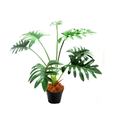 Expertly crafted and scientifically designed, the Xanadu Potted Plant stands at an impressive 68CMH. This lush plant boasts 7 real touch leaves, making it the perfect addition to any home or office space. Enjoy the benefits of a low maintenance, yet stunningly realistic plant-UNIQUE INTERIORS