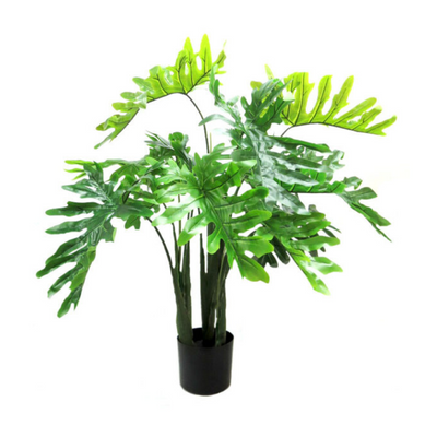 The Philodendron Potted stands at 120cm, boasting a full and vibrant presence. With 12 large leaves and a striking fresh green hue, it adds both beauty and structure to any space. Perfect for adding a touch of natural elegance to your home or office-unique interiors