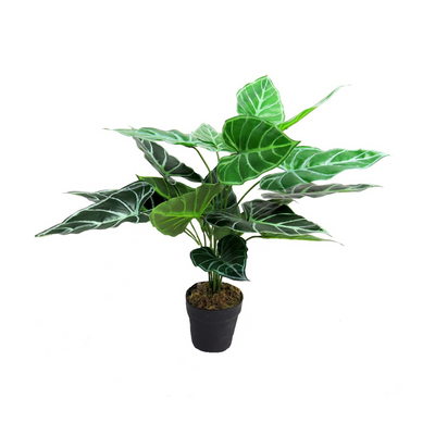 Increase the aesthetics of any room with the Kalo Plant. The 60CMH artificial plant adds a touch of greenery without the hassle of maintenance. Perfect for those looking for a low-maintenance yet visually appealing decor option-UNIQUE INTERIORS
