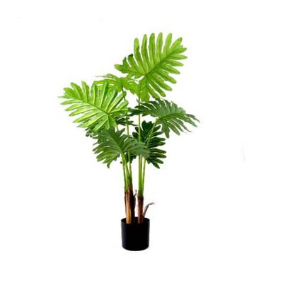Expertly crafted with a real touch, the Philodendron Speciality stands at an impressive 90cm height. Its exceptional quality and construction make it incredibly lifelike, adding a touch of natural beauty to any space. Perfect for those seeking a realistic and beautiful addition to their home or office-UNIQUE INTERIORS