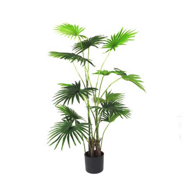 Expertly crafted at 120cm, the Fan Palm Mombasa boasts real touch fans, giving it a natural and realistic appearance. Its captivating color and form make it highly sought-after for any indoor or outdoor space.UNIQUE INTERIORS