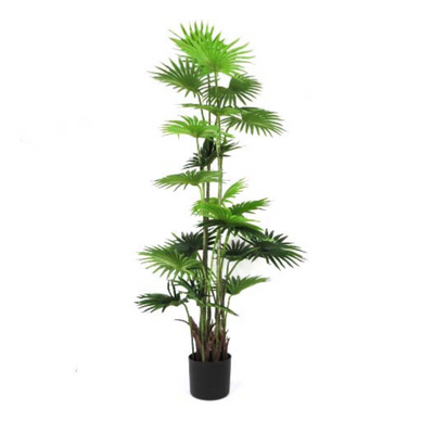 Introducing the Fan Palm Zanzibar - a 150cm real touch beauty that adds a touch of elegance to any space. Its tall, narrow form makes a fabulous statement, while its exquisite design adds a dreamy touch. Bring the tropics indoors with this must-have addition to your home decor-UNIQUE INTERIORS