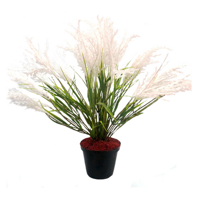 Expertly crafted, the Kapok Reed Plant stands at 49cm in height with a 55cm width. The artificial plant comes in a pot measuring 13cm in diameter and 10cm in height. Create a lifelike atmosphere with this stunning addition to your space- UNIQUE INTERIORS
