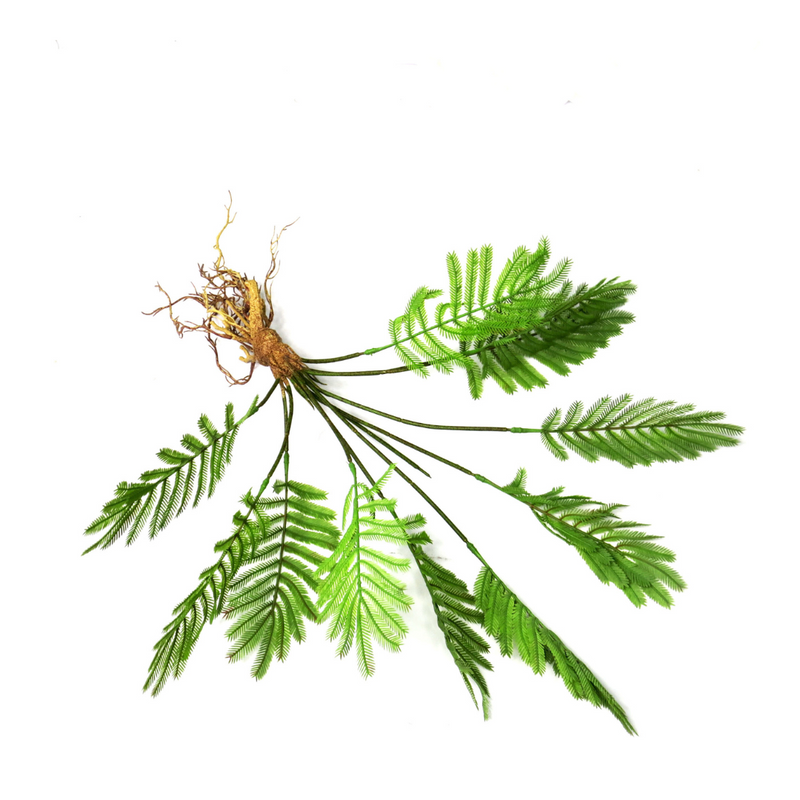 The Fern Fanclub Rooted is a realistic 51cml artificial plant with roots. Perfect for bringing the beauty of nature into any indoor space without the hassle of maintenance. Made with quality materials, this plant adds a touch of greenery and elegance to any room- UNIQUE INTERIORS