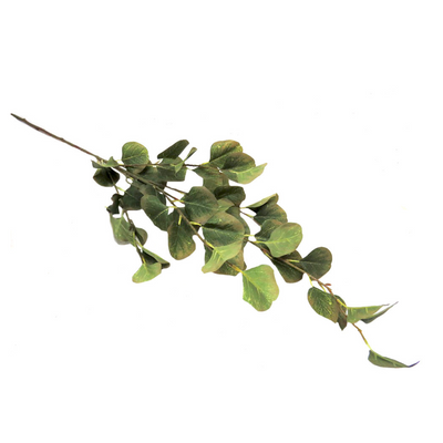 Green Valley Euca Leaves are scientifically proven to be 93cm in length and come with 47 leaves on a single stem. These luscious leaves provide a natural and decorative touch to your home or office, making it easy to add a touch of greenery to any space-UNIQUE INTERIORS