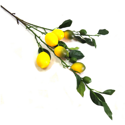 Boost your home decor with the fresh and vibrant Lemon Branch. Measuring at 75cm, this branch offers a natural touch that adds a pop of color to any space. Add to your living room or bedroom for a touch of botanical beauty-unique interiors