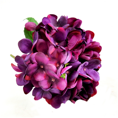 Hydrangea Coronation boasts a stunning blend of violet and purple shades, creating a dramatic and dreamy appearance. With large, well-proportioned heads and a length of 50cm, this flower is perfect for adding color and elegance to any arrangement or bouquet-UNIQUE INTERIORS