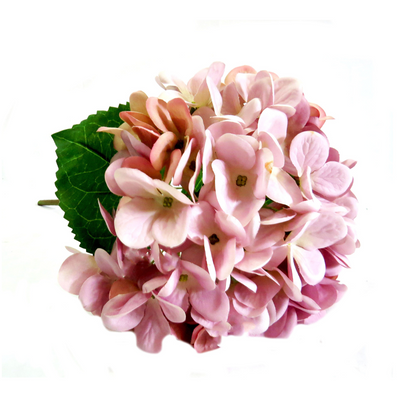 Experience the beauty of our Hydrangea Lilac Milkshake. With stunning pink and lilac touches, this 50cm large hydrangea head will add a touch of elegance to any space. Its well-proportioned size is sure to make a statement and elevate your floral arrangements-UNIQUE INTERIORS