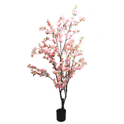 Discover the natural beauty of our Blossom Tree. Standing at 165cm high, it boasts multiple stems with froths of pink shaded blossom. Perfect for weddings, celebrations, or adding a touch of elegance to your home. A highly decorative and versatile piece, guaranteed to bring joy and charm to any setting-UNIQUE INTERIORS