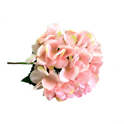 As an expert in the industry, we present the Hydrangea Bottichelli - a perfectly proportioned bloom with a generous 50cm length and a mesmerizing shade of spun sugar pink. Its large head is sure to make a statement in any arrangement. Bring elegance and grace to your space with this beautiful flower-unique interiors