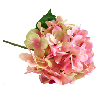 This Hydrangea Pink Puff boasts a large, well-proportioned head that showcases pink and cream shades. With a length of 50cm, it is the perfect bloom for any floral arrangement-unique interiors