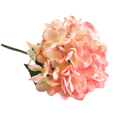 This Hydrangea Pink Trifle features multiple tones of ruffled pink and paler pink, creating a glorious and large-headed bloom. With a stem length of 50cm, this hydrangea is not only beautiful but also versatile in floral arrangements. Bring a touch of beauty and elegance to any occasion with this pretty flower-unique interiors