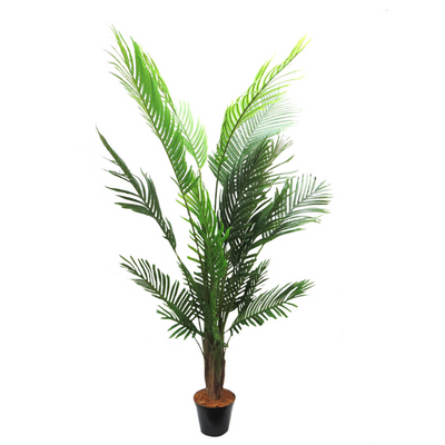 This Areca Palm reaches a height of 180cm, making it the perfect addition to any indoor or outdoor space. With its lush foliage and low maintenance, this plant not only adds a touch of green to your environment, but also helps improve air quality. A must-have for any plant lover or interior designer-UNIQUE INTERIOPRS
