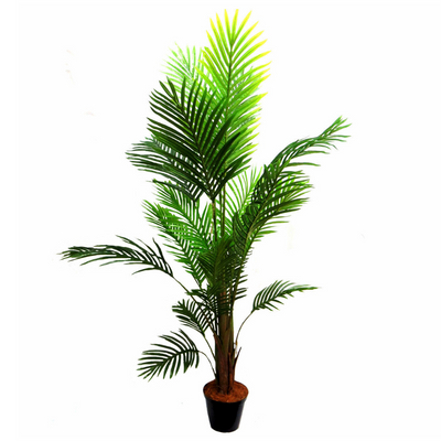 This Areca Palm reaches a height of 160cm, making it the perfect addition to any indoor or outdoor space. With its lush foliage and low maintenance, this plant not only adds a touch of green to your environment, but also helps improve air quality. A must-have for any plant lover or interior designer-UNIQUE INTERIORS