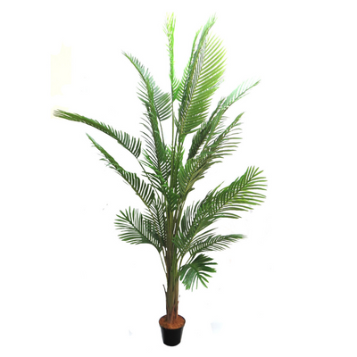 This Areca Palm reaches a height of 210cm, making it the perfect addition to any indoor or outdoor space. With its lush foliage and low maintenance, this plant not only adds a touch of green to your environment, but also helps improve air quality. A must-have for any plant lover or interior designer-unique interiors