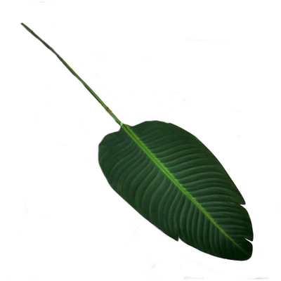 This Giant Bird Of Paradise Leaf measures 91cm in length. Enhance your home or garden decor with this impressive, life-like leaf. Adds a touch of natural beauty and ambiance to any space. Made from high-quality materials for long-lasting durability-unique interiors