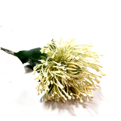 As a pincushion protea, the White Pincushion boasts generous proportions, with a 73cm stem and a large, full flower head that measures 11cm in diameter. Its beautiful off-white shades make for a truly spectacular and unique addition to any floral arrangement-UNIQUE INTERIORS