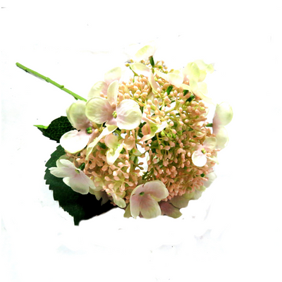 Introducing Hydrangea Bridal Beauty, the perfect choice for bridal work. This "paniculata" type features 54cml of real touch open flowers, surrounded by half-opened and tightly closed buds. Delicate in form and color, this hydrangea boasts a beautiful touch of soft pink. Its glorious color and form make it a truly gorgeous addition to any arrangement-unique interiors