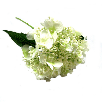 Experience the beauty of nature with our Hydrangea Quercifolia Bridal. This "paniculata" type features delicate, real touch flowers in a stunning symphony of white. With 54cm of lush blooms, this flower is perfect for adding an elegant touch to any bridal arrangement. The abundance of open flowers, buds, and buds-to-be creates a full and vibrant display- unique interiors