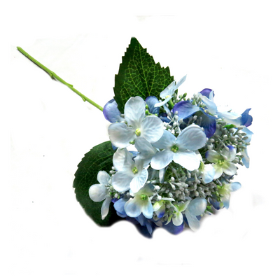 Elevate your bridal work with our Hydrangea Bridal Blue. Featuring delicate and beautiful paniculata blooms, enjoy a mix of open flowers and buds for a stunning display. With a height of 54cm, this real touch flower adds glorious color and form to any arrangement. Expertly crafted for a flawless look-UNIQUE INTERIORS