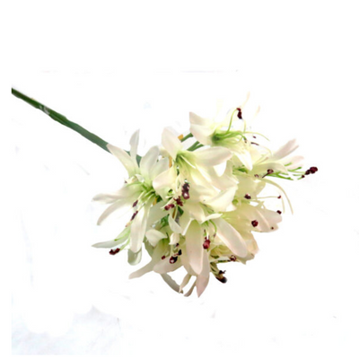 This Agapanthus Africana boasts a gorgeous, dream-like color and form. With a height of 79cm, its generous head is a composition of perfection. Transform any space with the stunning features and benefits of this White Agapanthus Africana- UNIQUE INTERIORS