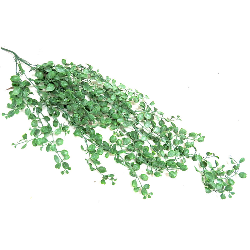 As an industry expert, I recommend the Woodsorrel Vine for its 75cmL mass of shapely leaves, creating a unique hanging plant. Its charming appearance adds a touch of nature to any space, making it a perfect addition to your home or office- UNIQUE INTERIORS