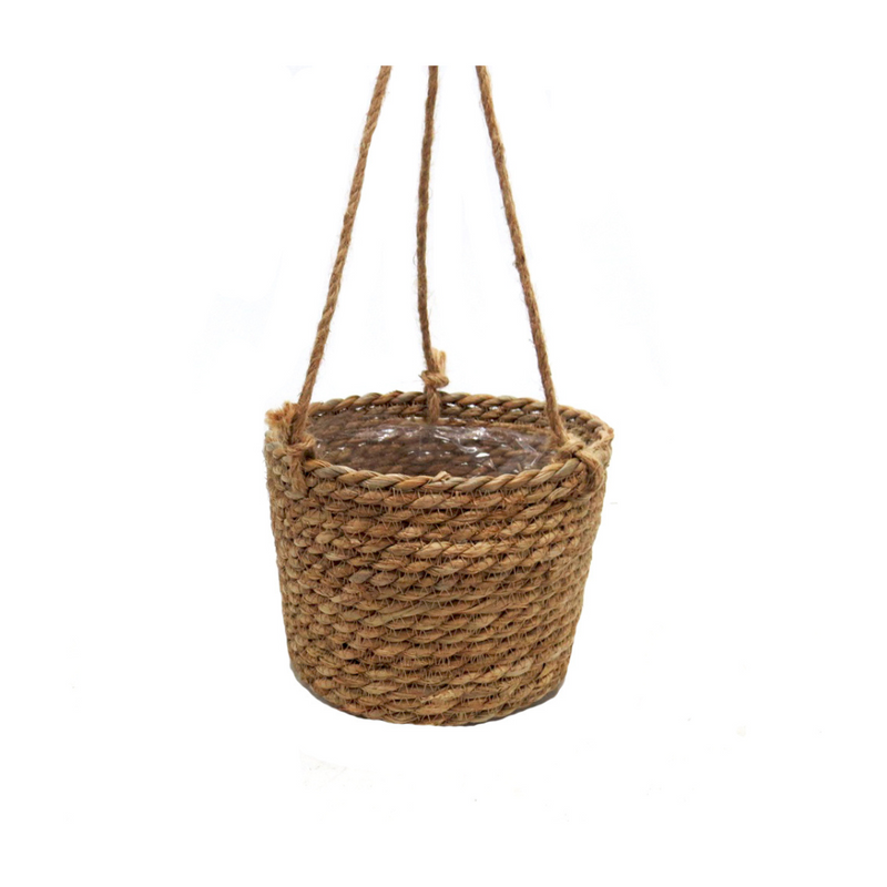 Add a soft touch of nature to your space with this cello hanging basket. It features a removable twisted rope hanger, allowing for a dual purpose - either hang the basket or use it as a standard planter. The inner plastic lining offers extra protection, while the design itself brings charmed and timeless beauty to any home.