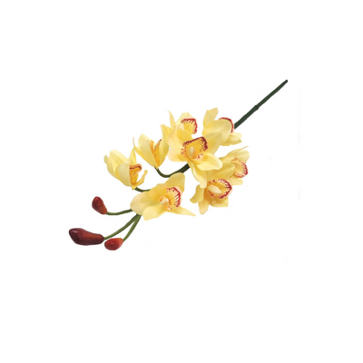 This soft creamy yellow cymbidium artificial by Unique Interiors is a great way to add a touch of beauty to any home. The realistic design and soft petals create a stunning display that is sure to bring character to any space.
