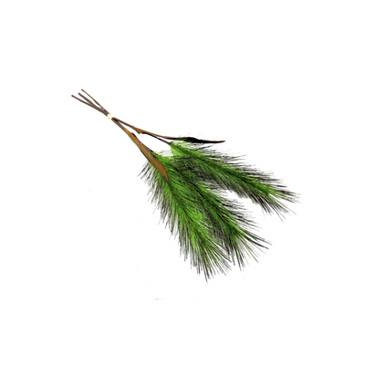 This foxtail grass is crafted with realistic detail and is the perfect addition to any home. The bunch of 3 grasses measures 50cmL and comes with an artificial stem for a natural look and feel. Bring the wild indoors with this wild foxtail!