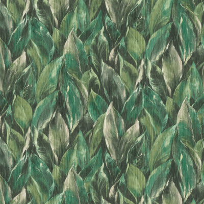 AQUARELLA Wallpaper forest
