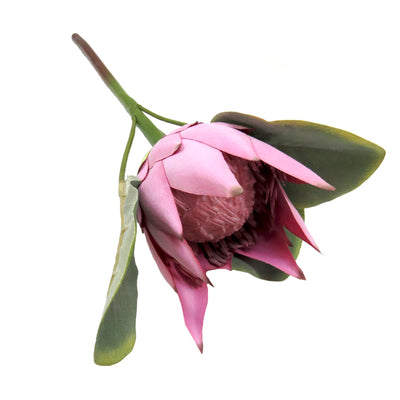 Introducing Protea honeypot, a stunning artificial plant featuring a small headed lilac-pink protea. Measuring 39.5cmL, this lifelike artificial plant adds a botanical feel to any space without the hassle of maintenance. Enjoy the beauty of nature minus the upkeep