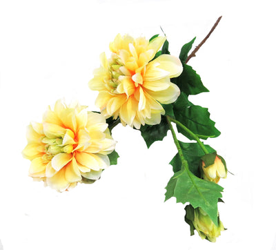 This Dahlia yellow stem is a stunning addition to any space. Its exquisite pale yellow hue radiates beauty and brightness. Measuring at 71cmL, its size makes it a charming addition to any home or garden.