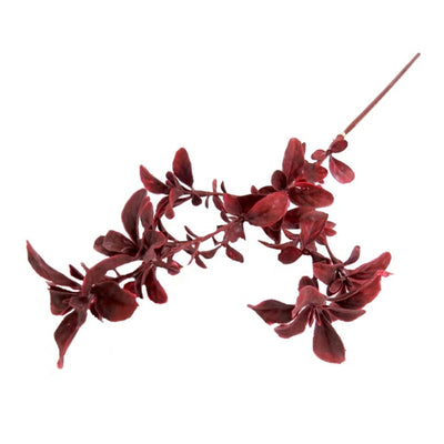 Our Plumwine Spray is simply stunning with its delicate, wine-hued leaves. With its 55cm length, this pittosporum spray is the perfect size for adding a decorative touch to your floral arrangements. Create a stunning, eye-catching aesthetic with Plumwine Spray.