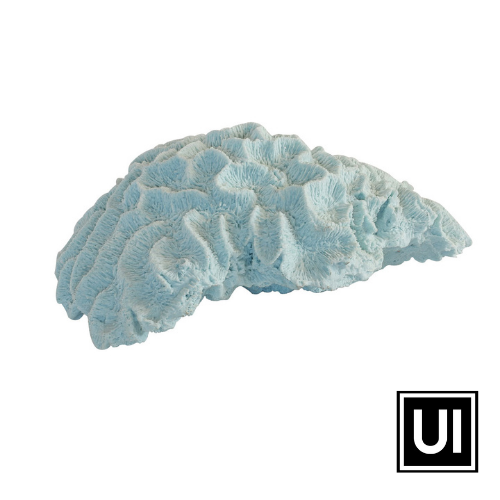 Coral brain blue x large Unique Interiors