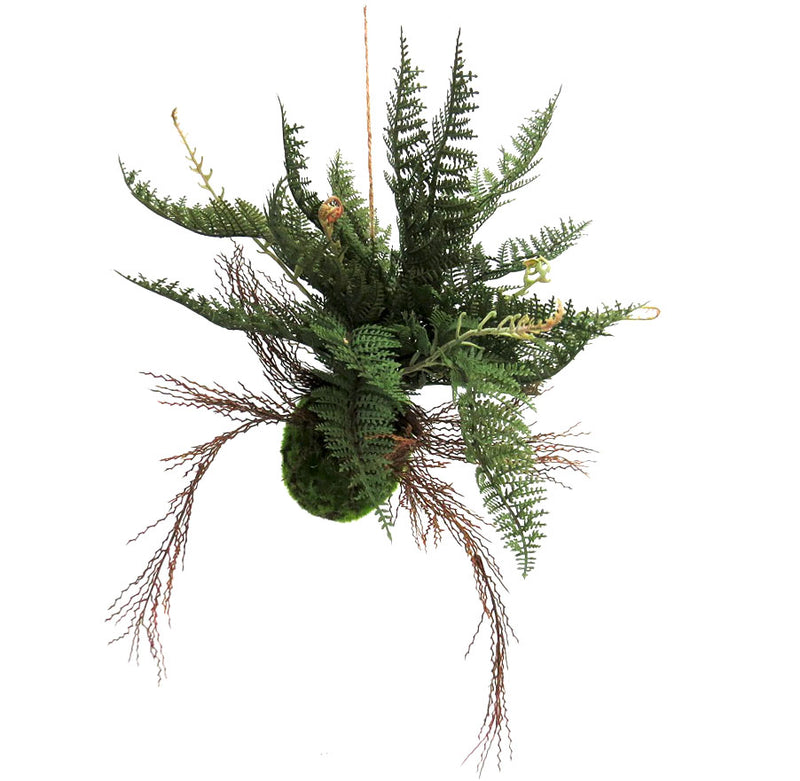 This artificial Fern Ball is sure to bring a bit of nature into your home. It features a dense mossy-green ball with numerous roots and branches in various stages of development. This unique and realistic plant is ideal for adding natural beauty to any interior.