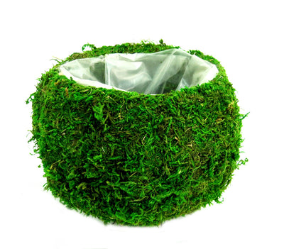 Introducing the Columbine Ballvase: stylish, waterproof, and perfect for adding a unique touch to your interiors. With 20x20x14 cm dimensions and plenty of space to fill with woven moss, its rotund shape creates a stunning centerpiece for any room.