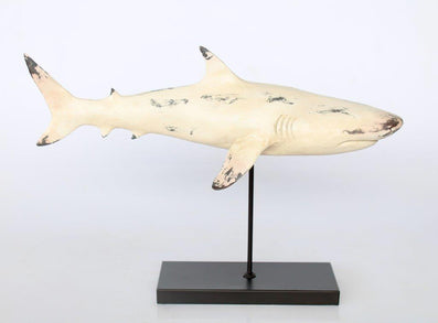White distressed shark on stand