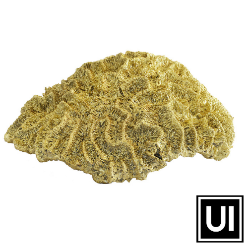 Coral Brain Large Gold Unique Interiors